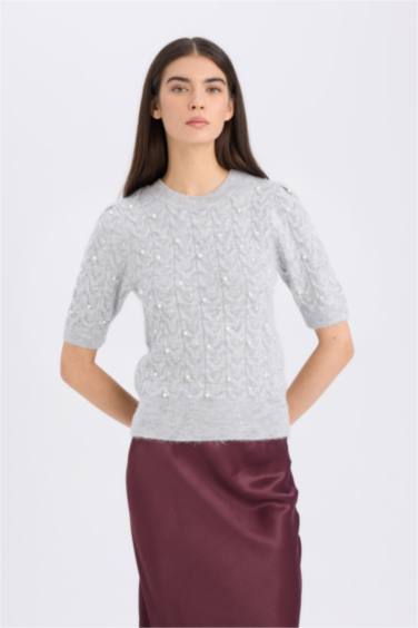 Regular Fit Crew Neck Basic Half Sleeve Knitwear Pullover