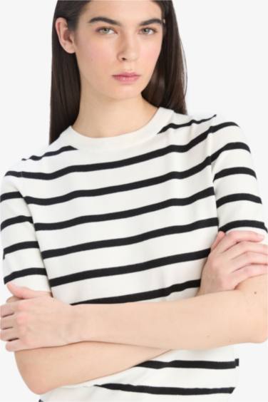Regular Fit Crew Neck Striped Pullover