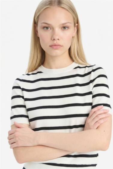 Regular Fit Crew Neck Striped Pullover