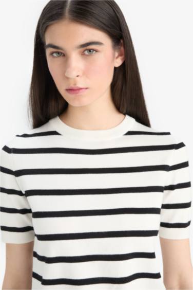 Regular Fit Crew Neck Striped Pullover