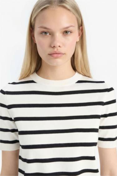 Regular Fit Crew Neck Striped Pullover