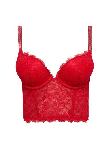 Fall in Love Lace Padded Red Bra