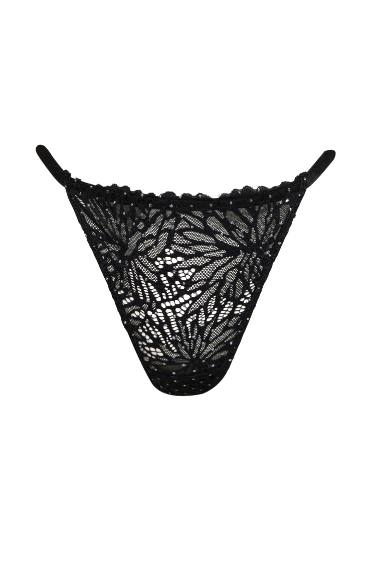 Fall in Love Lace Slip Panty