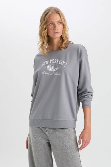 Regular Fit Crew Neck Thin Fabric Sweatshirt