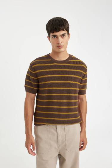 Standard Fit Crew Neck Cotton Striped T-Shirt