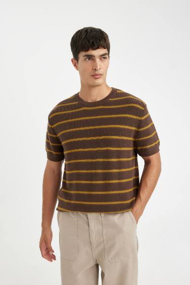 Standard Fit Crew Neck Cotton Striped T-Shirt