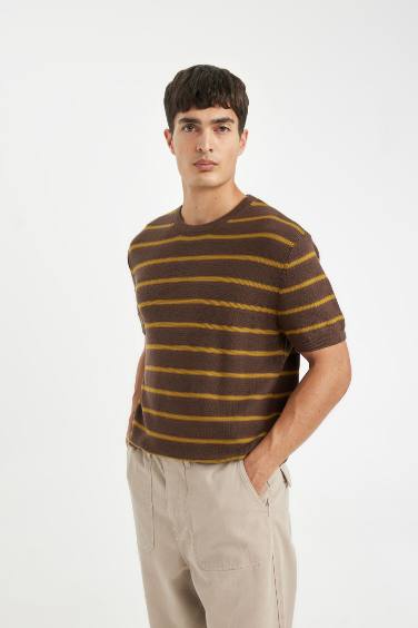 Standard Fit Crew Neck Cotton Striped T-Shirt