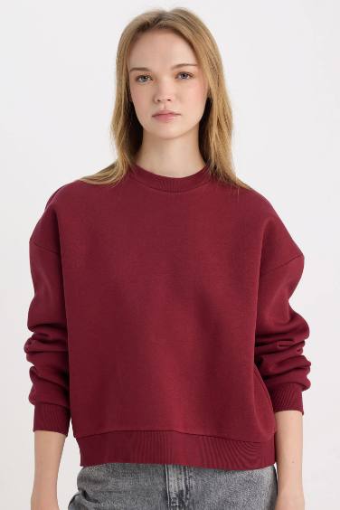 Regular Fit Bisiklet Yaka Kalın Basic Düz Sweatshirt