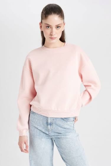 Kadın Pembe Regular Fit Bisiklet Yaka Kalın Basic Düz Sweatshirt