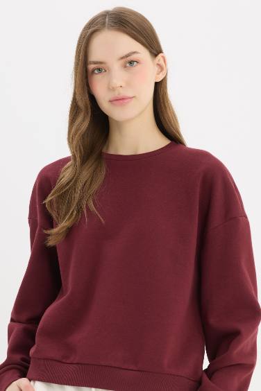 Regular Fit Crew Neck Thick Basic Sweatshirt