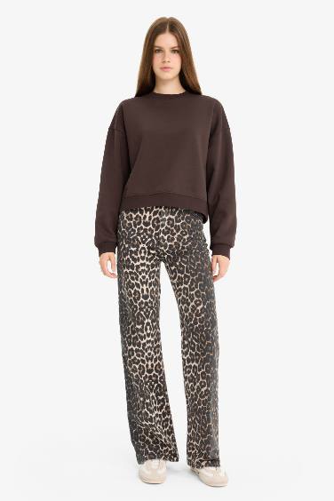 سويت شيرت تقيل قصة عادية