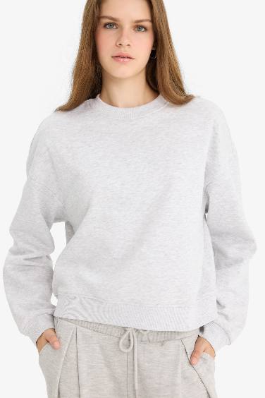Regular Fit Crew Neck Thick Fabric Sweatshirt