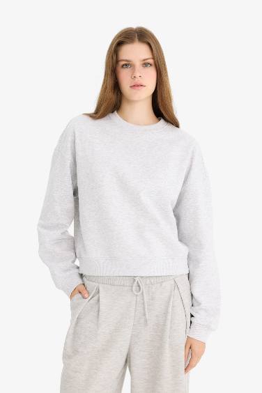 Regular Fit Crew Neck Thick Fabric Sweatshirt