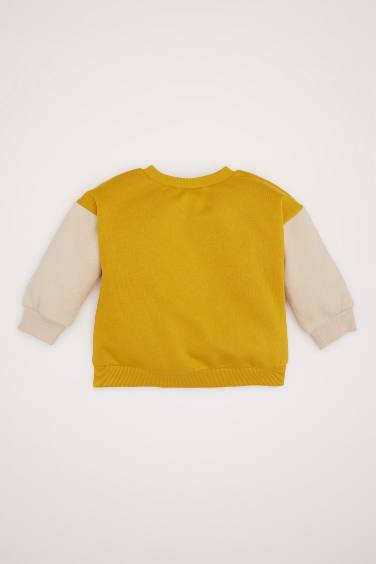 Baby Boy Crew Neck Printed Sweatshirt