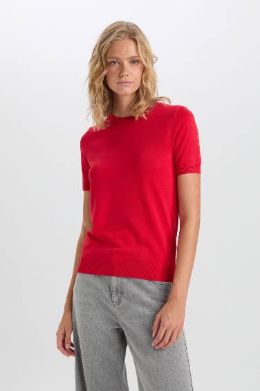 Red Regular Fit Crew Neck Basic Short Sleeve Pullover