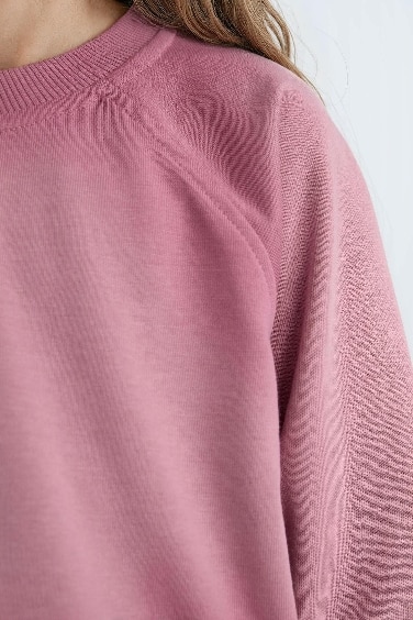 Girl Relax Fit Crew Neck Crop Basic Sweatshirt