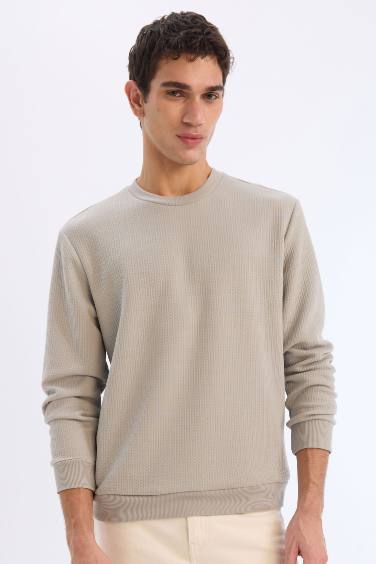 Regular Fit Bisiklet Yaka Basic Düz Sweatshirt