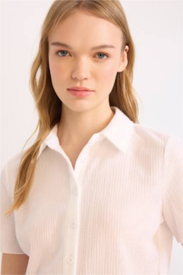 قميص نص كم سليم برقبة قميص