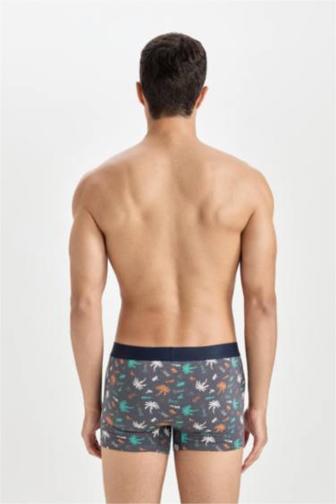 Regular Fit 3'lü Boxer