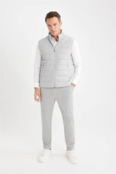 Slim Fit Stand Collar Zippered Puffer Vest