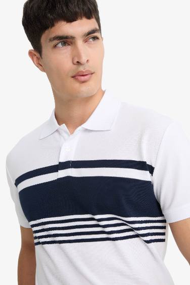 تيشيرت بولو مخطط قصة عادية