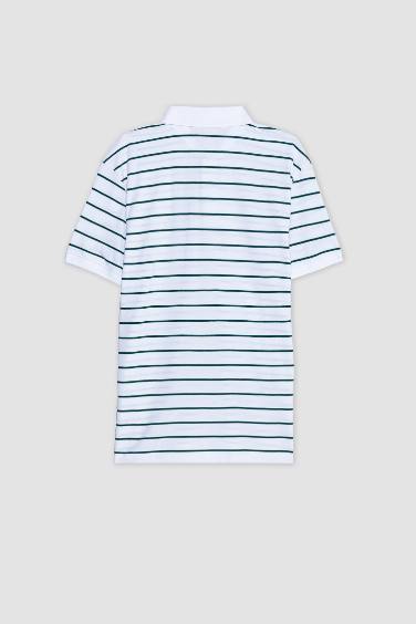 Cotton Regular Fit Striped Polo Shirt
