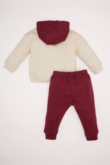 Baby Boy Hooded Printed Sweatshirt Sweatpants 2 Piece Set