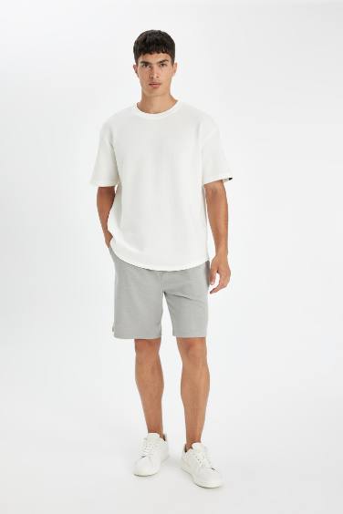 Regular Fit Shorts