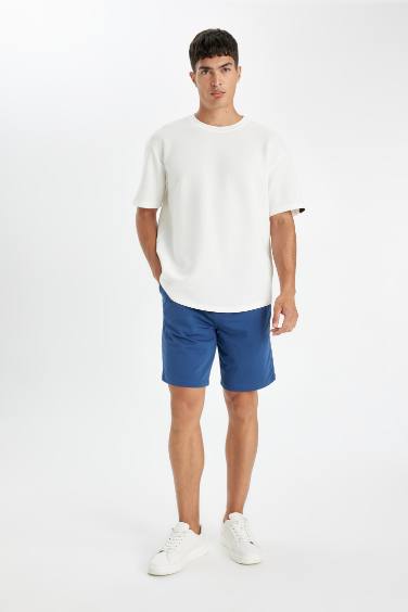 Regular Fit Sweatshirt Fabric Shorts