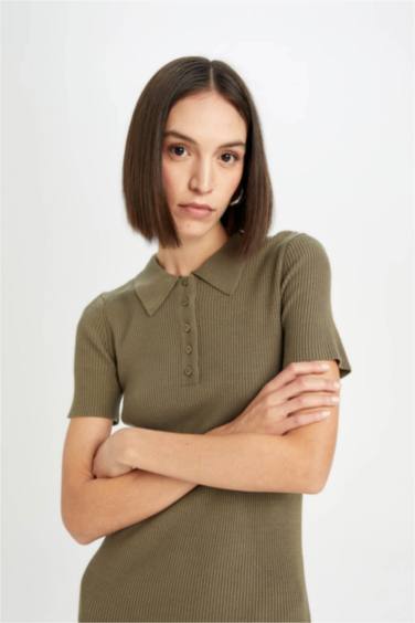 Fitted Body Fitting Polo Neck Basic Short Sleeve Mini Dress