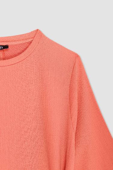 فستان قصة عادية برقبة مستديرة