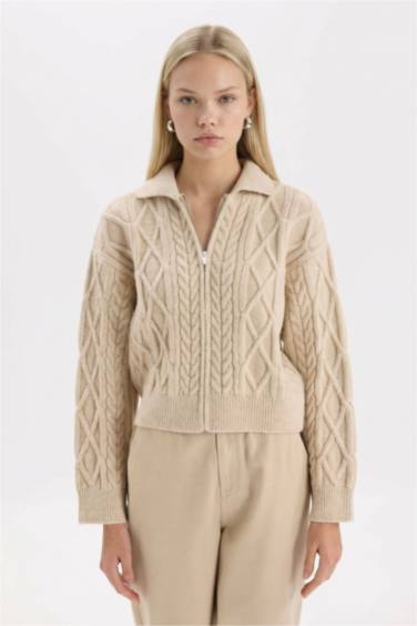 қалыпты пішім жейде мойыны Кардиган