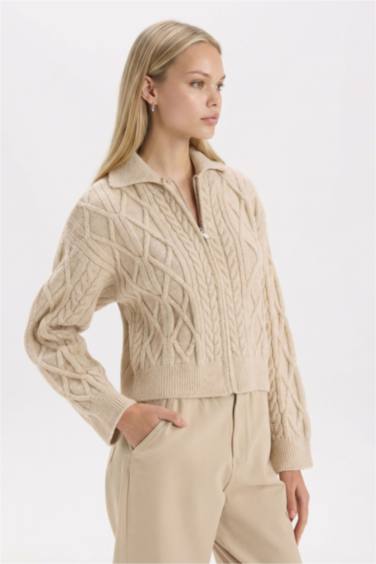 Regular Fit Polo Yaka Fermuarlı Triko Hırka