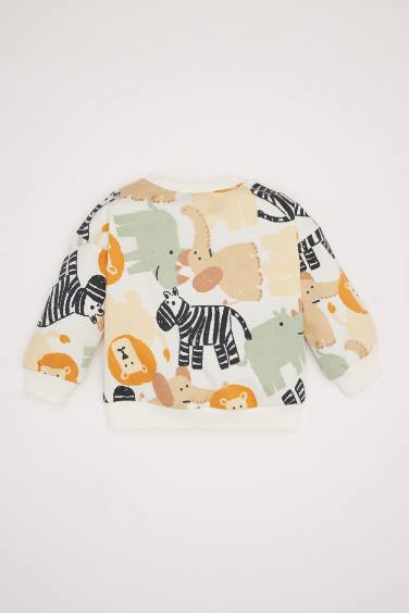 سويت شيرت ولادي قصة عادية بياخة مستديرة