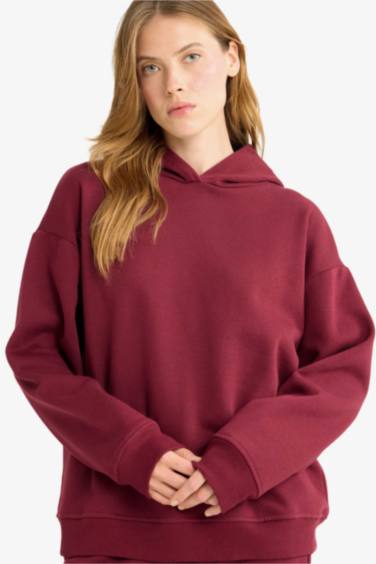 Relax Fit Hooded Basic Thick Sweatshirt
