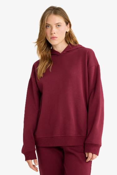 Relax Fit Hooded Basic Thick Sweatshirt