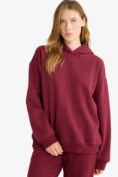 Relax Fit Hooded Basic Thick Sweatshirt