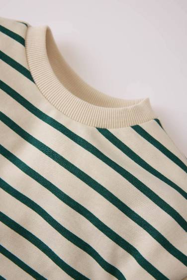 Baby Boy Crew Neck Striped Sweatshirt