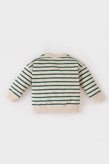 Baby Boy Crew Neck Striped Sweatshirt