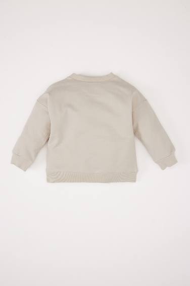 Boy Baby Crew Neck Printed Sweatshirt