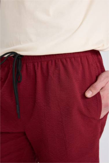 File Astarlı Kısa Boy Deniz Şortu - Görsel 5