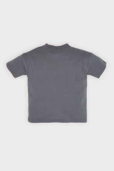 Baby Boy Regular Fit Animal Patterned T-Shirt