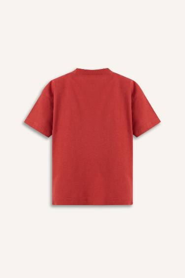 تيشيرت بيبي ولادي نص ردن مطبوع قصة عادية