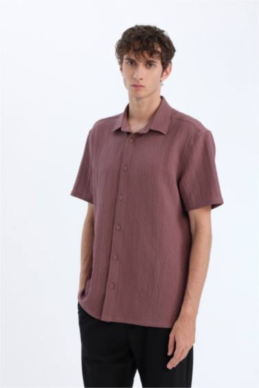 қалыпты пішім Қысқа жеңді жейде