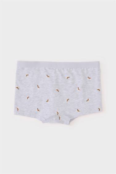 Boy Patterned 3 Piece Boxers