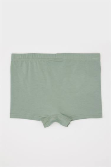 Boy Animal Patterned 3 Piece Boxers