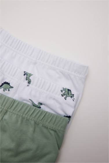 Boy Animal Patterned 3 Piece Boxers