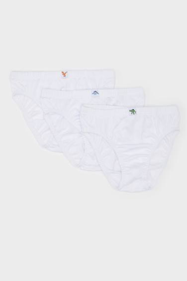 Lot de 3 Culottes slips pour garçon