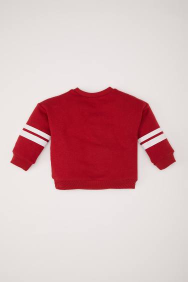 Regular Fit Crew Neck Sweatshirt