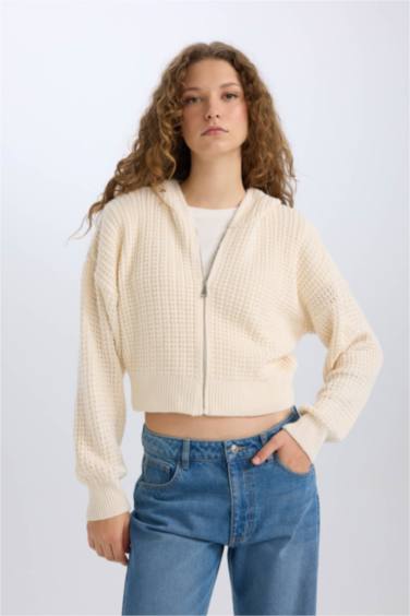 Regular Fit Kapüşonlu Fermuarlı Triko Hırka